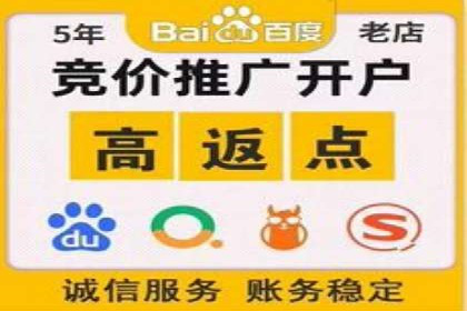 百度竞价个人账户开户技巧：成功案例分享与解析